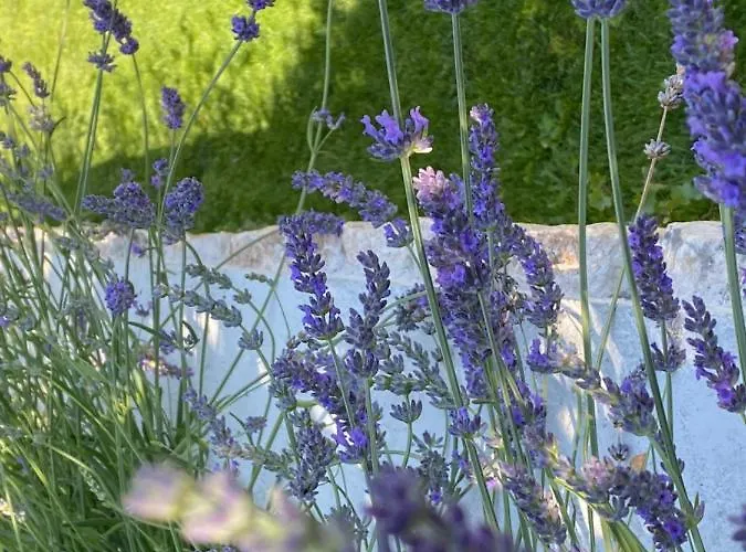 Sterna Ii - Mit Pool Und Garten